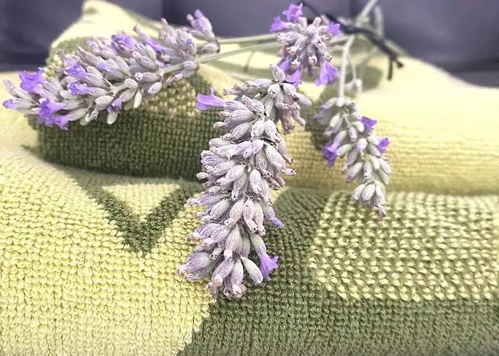 Apartment Studio_suite05 *